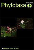 Image result for Bolusiella talbotii