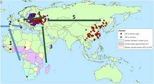 Border fences against african swine fever, on the other hand, are considered less sensible by experts. African Swine Fever Sciencedirect