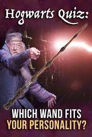 However, she is angry with you and uses magic to cheat to get on the quidditch team so you don't get in. Hogwarts Quiz Which Wand Fits Your Personality Harry Potter House Quiz Hogwarts Quiz Harry Potter Personality Quiz