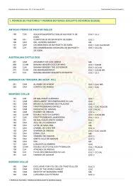 Exposición de la Alianza Cinófila Latina