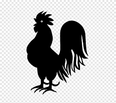100 gambar ayam hitam putih gambar pixabay. Siluet Ayam Hitam Dan Putih Ayam Jago Hewan Fotografi Png Pngegg