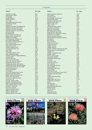 Image result for Petalidium bracteatum