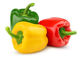 Image result for Capsicum