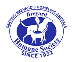 Foster or adopt a dog from our dog rescue program in orlando or central florida. Home Brevard Humane Society Humane Society Central Florida