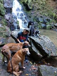 Running again after quad muscle removed