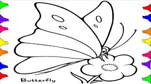 Download instantly, in adobe pdf format. Coloring Pages On Twitter How To Draw Butterfly Coloring Pages For Kids Toddlers L Step By Step Drawing Pages For Preschool Https T Co Gimxca9nkv How To Draw Drawing Coloring Pages Https T Co Hsqsspf5gu