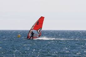 les fanas du windsurf en