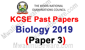 The questions and answers cuts across all the topics from form 1 to form four. Kcse Past Papers 2019 Biology Paper 3 101 3 Mwalimu Beware