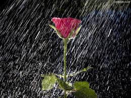Lluvia, precipitación, pluviosidad, precipitaciónfrom the english rainfall nfnombre femenino: Lluvia Que Es Como Se Forma Tipos De Lluvia
