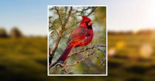 Occo Coffman Merritt Obituary August 30, 2017