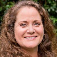 Tiger Drive by Teri Case