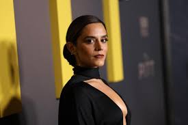 Sepideh Moafi Addresses 'The Pitt' Toxic Fandom and Noah Wyle Feud Rumors