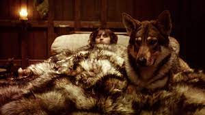 Spoil Alert Summer Is Bran S Direwolf And Is Considered One Of The Most Intelligent Of His Litter Summer Once Killed An Dire Wolf Game Of Thrones Throne