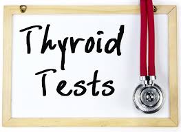 The Thy Gap Why Your Thyroid Labs Might Be Normal When You