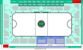 arena victoria shamrocks