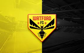 Watford logo vector download, watford logo 2020, watford logo png hd, watford logo svg cliparts. Watford Fc Andrew Greif Design Illustration