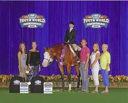 Limelite show horses of grand junction colorado, train apha & aqha all around show horses. Limelite Show Horses