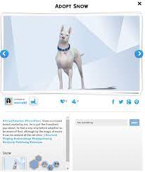 If you don't want to adopt any, talk to the person who brought the pets and tell them to end the adoption meeting. Leash And Collar Question The Sims Forums