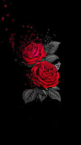 Search free rose wallpaper ringtones and wallpapers on zedge and personalize your phone to suit you. Rose Wallpaper Wallpaper Sun
