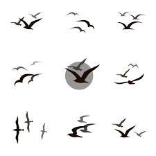 Seagull Illustrations Royalty Free Vector Graphics Clip Art Istock In 2020 Bird Illustration Seagull Illustration Illustration