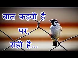 Suvichar Zindagi Ka Sach Heart Touching Story à¤¸ à¤µ à¤ à¤° à¤ à¤¦à¤ à¤ à¤¸à¤ à¤à¤¨à¤® à¤² à¤µà¤à¤¨ Anmol Vachan Inspiring Quotes About Life Life Quotes Motivational Lines Download lagu dan video terbaru. inspiring quotes about life