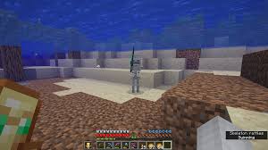 Swords can receive, or be found in an end city with the following enchantments: Ok Minecraft Why Can Skeletons Pick Up Swords You Re Scaring Me Minecraft