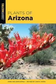See more ideas about garden shrubs, plants, shrubs. Plants Of Arizona Epple Anne Orth Wiens John F Dr 9781493057931 Amazon Com Books
