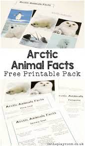 Polar Animals Fact Sheets And Games To Play With Them In The Playroom Polar Animals Preschool Animal Facts For Kids Polar Animals