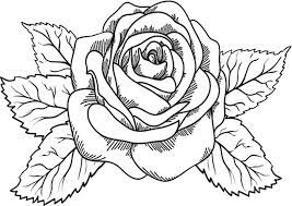 Blume malvorlage, ausmalbilder blumenstrauß, blumen malen vorlagen, ausmalbilder blume, malvorlagen frühlingsblumen, blumen zum malen. Blumen 2 Ausmalbilder Malvorlagen