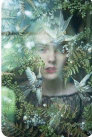 Favorite Humorous Books and Movies