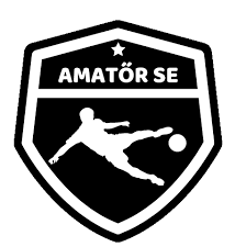 HAYNES-VARGA MARCUS JOEL