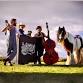 The Swamp Stomp String Band event image