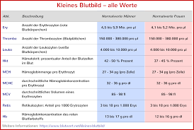 Kleines Blutbild Alle Werte Manner Und Frauen
