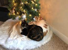 If you're still struggling with how to keep cats away from a christmas tree, make the tree even more unappealing to a feline. How To Keep Your Cats Away From Your Christmas Tree Blonde Ambitious Blog