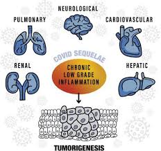Last month, beth israel deaconess medical center. Cancer As A Prospective Sequela Of Long Covid 19 Bioessays X Mol