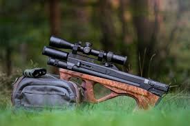 Image result for Lelya