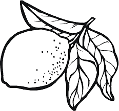 To help kinesthetic and visual learners enjoy studying art history. Lemon Coloring Pages Best Coloring Pages For Kids