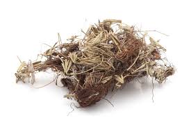 Image result for Actiniopteris radiata