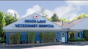 Maybe you would like to learn more about one of these? Union Lake Veterinary Hospital Short Waterford Mi Youtube