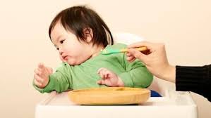 Kaufvertrag gartenhaus vorlage / kaufvertrag garte. 10 Cara Membuat Anak Mau Makan Solusi Gerakan Tutup Mulut Si Kecil
