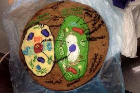 Check spelling or type a new query. Plant And Animal Cells Posts Facebook