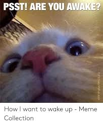 3 ways to stay awake. Psst Are You Awake How I Want To Wake Up Meme Collection Meme On Awwmemes Com