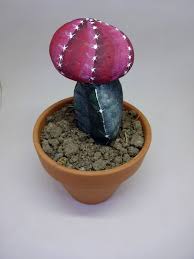 El primer paso es opcional y consiste en dar una imprimación a la piedra antes de pintarla. Piedras Pintadas A Mano Piedras Pintadas Con Cactus