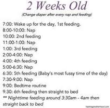 Birth To 6 Months Baby Schedule Sleep Baby Schedule