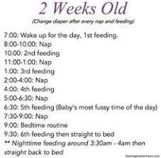 birth to 6 months baby schedule sleep baby schedule