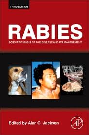 Image result for Rabies