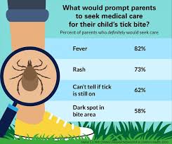Übersetzung von groin im englisch deutsch wörterbuch: Parents Twice As Likely To Be Concerned About Ticks Than Of Mosquitoes Eurekalert Science News