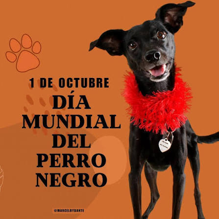 Día mundial del perro negro