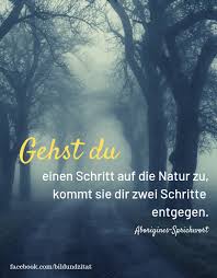 Zehn Wunderbare Zitate Uber Die Natur Alexandra M Brandstetter Outdoorfotografie Papeterie