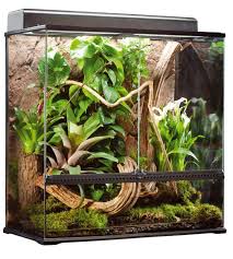 Terrarium Exo Terra 90x45x90 Cm Xl Zoomalia Terrarium Plantes Terrarium Idees Terrariums